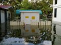 Prakard Thongprapai 26-10-54 (34)